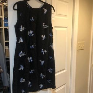 Ann Taylor navy lace dress